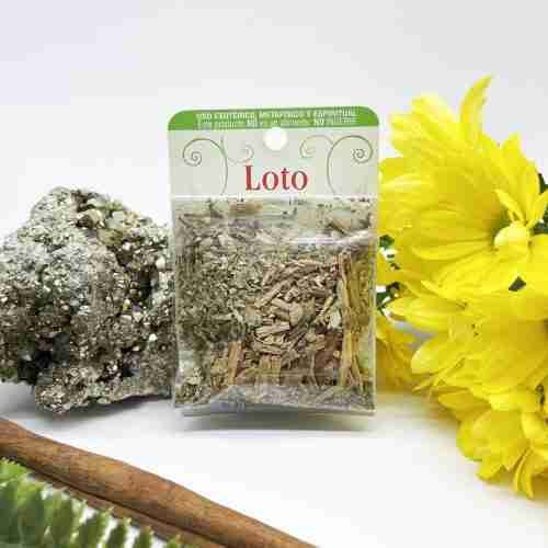 Hierba loto