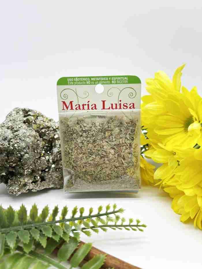 Hierba maria luisa