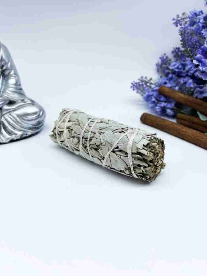 Salvia blanca