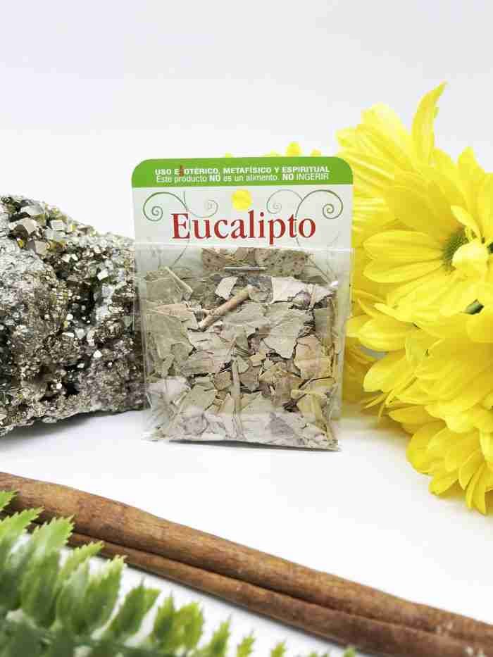 Hierba eucalipto