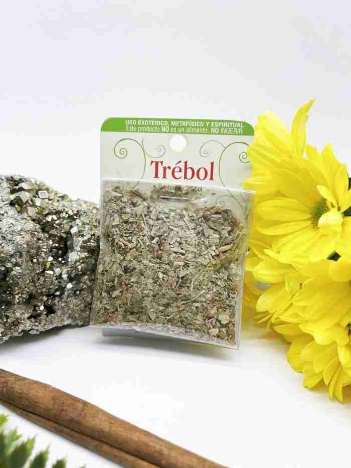 Hierba trébol